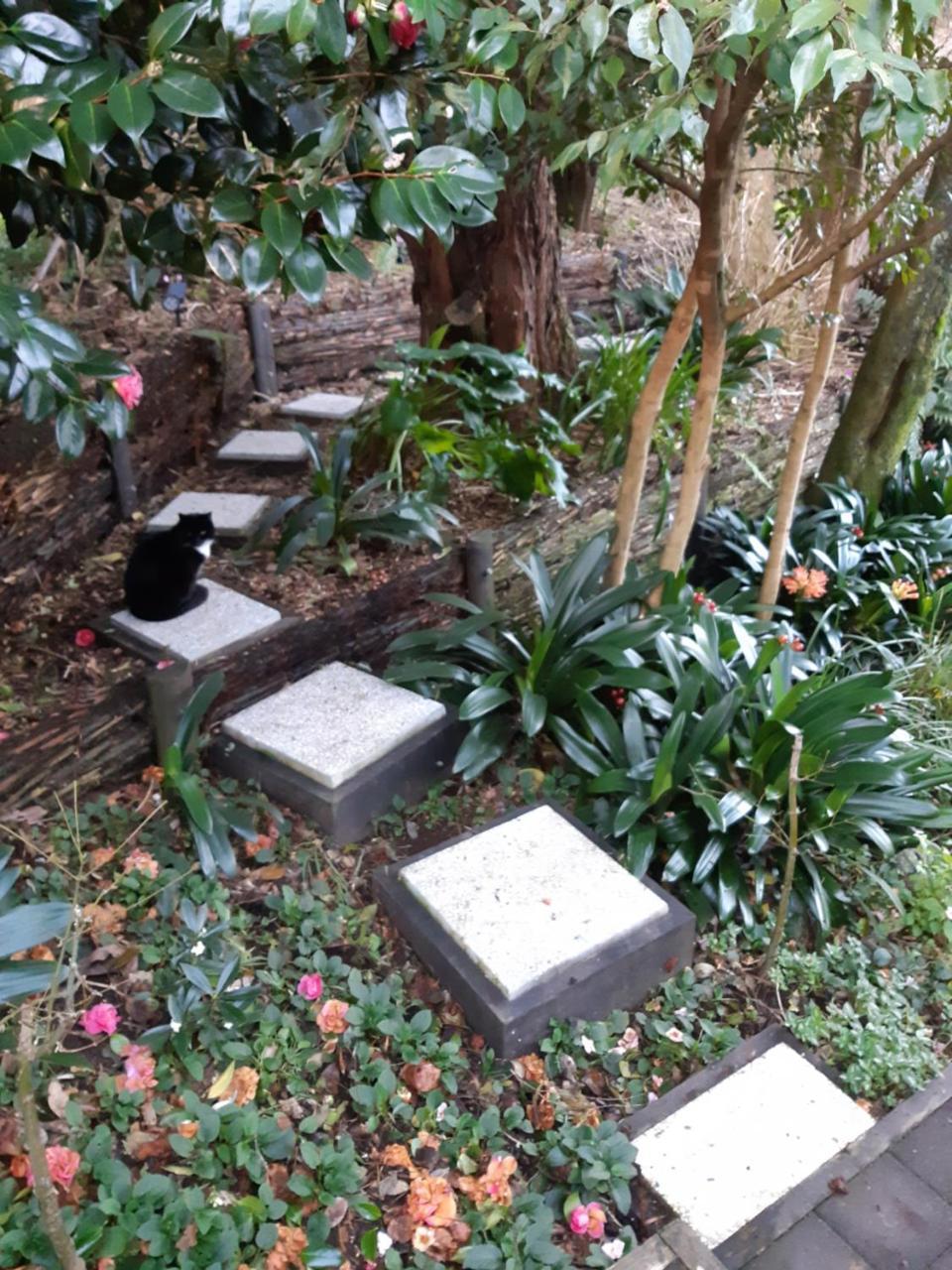 לינה וארוחת בוקר ניו פלימות' Sequoia Steps מראה חיצוני תמונה